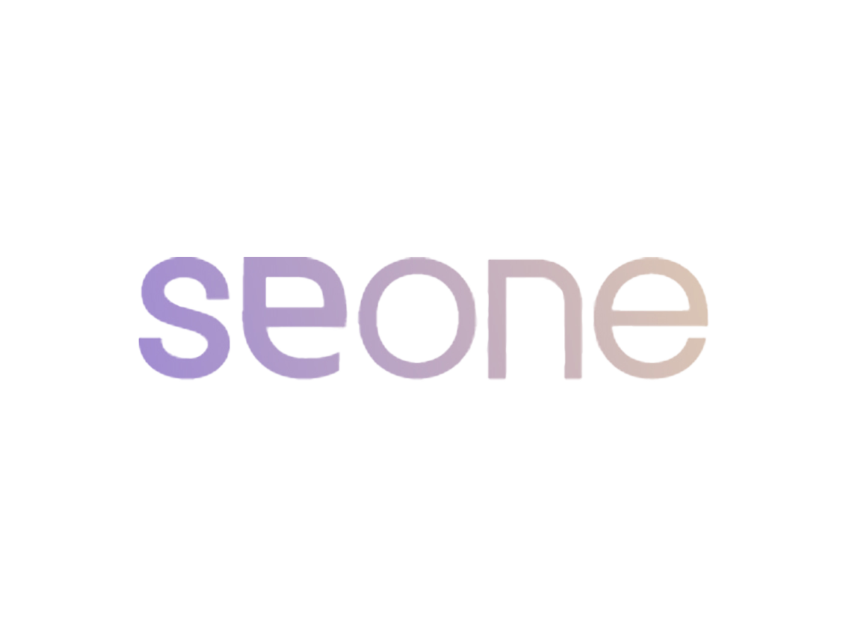 seone besturing systeem