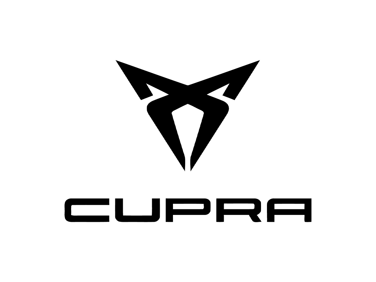 Seone Update Licentie Voor Cupra ODIS (1 jaar)